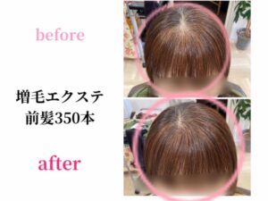 増毛エクステ前髪３５０本